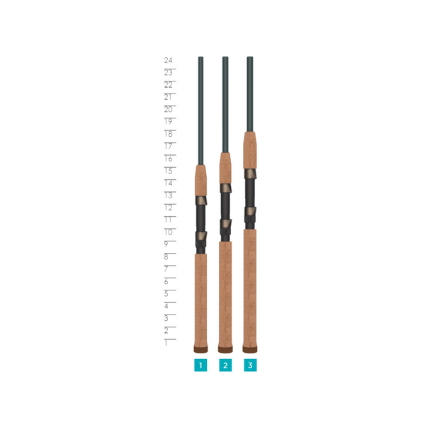 TRIUMPH® INSHORE SPINNING RODS - 2