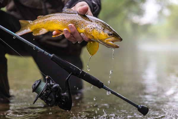 St. Croix Rods Trout Rod - 2
