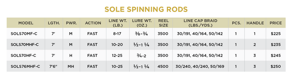 SOLE SALTWATER SYSTEM - 2
