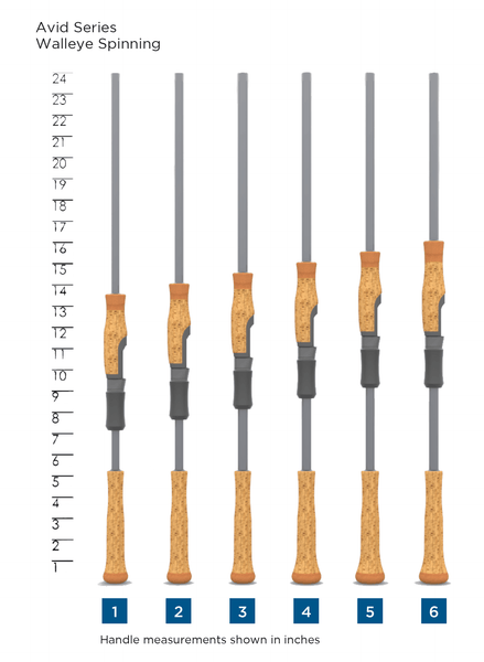 ST CROIX OF PARK FALLS - AVID SERIES WALLEYE SPINNING - St. Croix Rods - Factory Store - 3