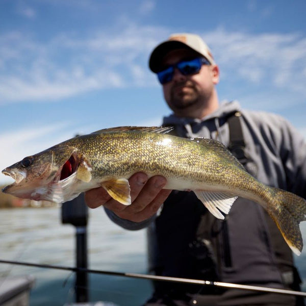 ST CROIX OF PARK FALLS - AVID SERIES WALLEYE SPINNING - St. Croix Rods - Factory Store - 1