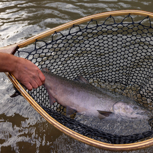 ST CROIX OF PARK FALLS - LEGEND ELITE SALMON STEELHEAD - St. Croix Rods - Factory Store - 1