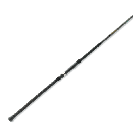 TRIUMPH SURF SPINNING ROD - 1