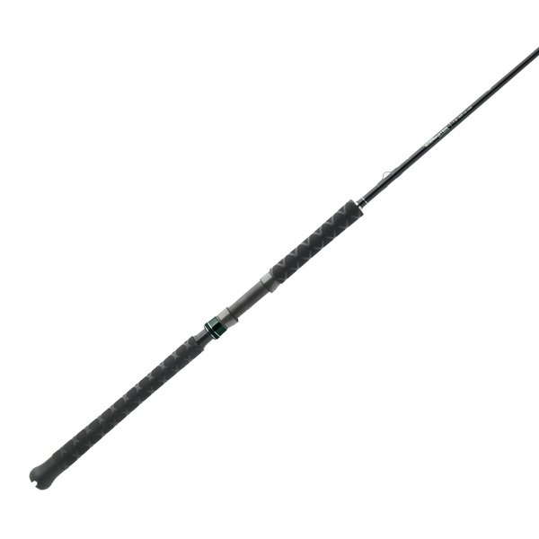 TIDEMASTER WC SPINNING ROD - 1