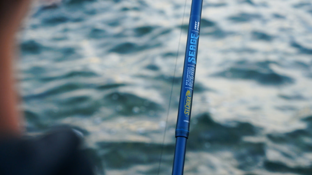 SEAGE SURF SPINNING RODS